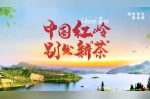 中国红岭 别出新“茶”——看金寨绿意盎然