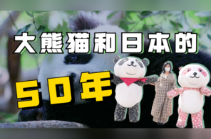 日本人狂热的“熊猫爱”！实拍中国大熊猫抵日50周年活动