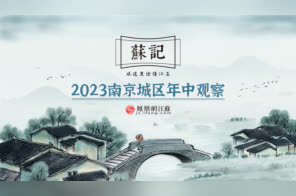 苏记｜发力服务业扩大开放，玄武区能否“达标”？