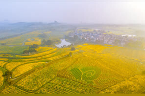 苏记 | “后花园”高淳，擘画绿色慢城新图景