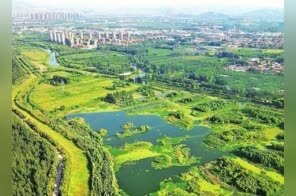 人不负青山系列丨山东：厚植绿色底色，谱写美丽中国齐鲁新篇