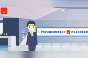 动画视频 | “四域四化”专项整治（一）：国资国企运行管理领域