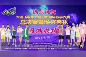 冠军出炉！这场总决赛闪耀合肥园博园！