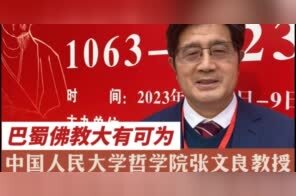对话中国人民大学哲学院张文良教授：巴蜀佛教大有可为