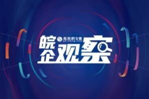 皖企观察丨三十而立 上市皖企“立”得如何？