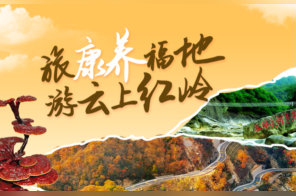 直播 | 旅康养福地 游云上红岭-凤凰网安徽