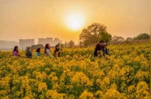 春游江淮 请来蚌埠｜油菜花开春意浓