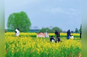 春游江淮 请来铜陵丨春花开遍铜陵西湖湿地公园