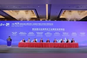 签约！26个中新双向投资项目落地