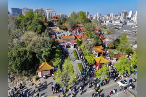 500亿后如何再攀高峰？云龙区绘就城区经济跃升新图景