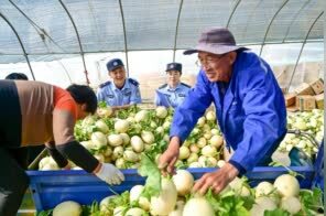 安徽和县：走访“外商”知民意 以法“安商”护秩序