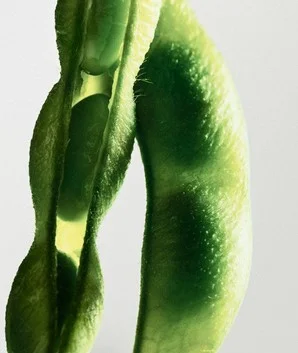 fresh馥蕾诗大豆精粹温和卸妆洁面凝露 温和净肤 洗卸合一
