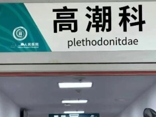 小红书上“种”出的“高潮针”竟是伪科学？