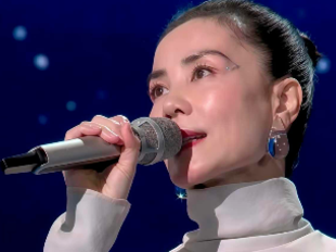 2026春晚名场面！王菲银河妆梦回1995，撒贝宁眉毛笑翻全网