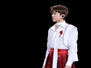 为何张杰总是甩不掉“闰土”标签？