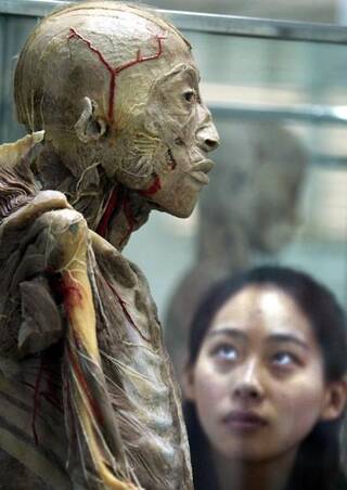 新闻 图片 环球图片 每页显示数:1|3 下组:成人玩具制造工厂的震撼