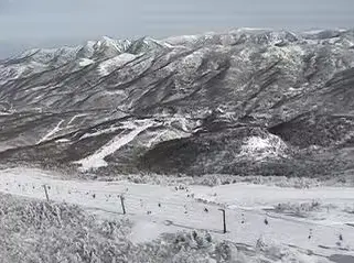 一中国游客在日本滑雪场遇难!遗体在森林中被发现