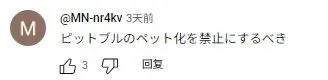（截圖來自日本網友評論）