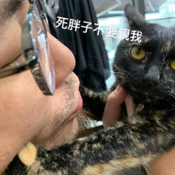 男子被猫咪一脸嫌弃 好无奈 凤凰网