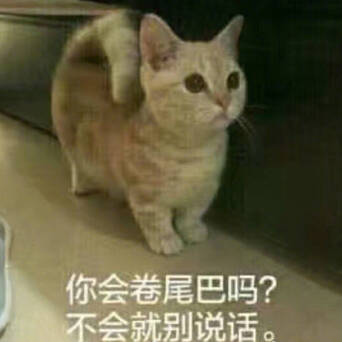 被拒绝的小猫有多委屈 委屈巴巴的 真可爱啊 让我来摸摸 凤凰网