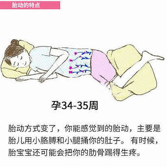 宝宝胎动特点 孕妈们快来看看吧 凤凰网