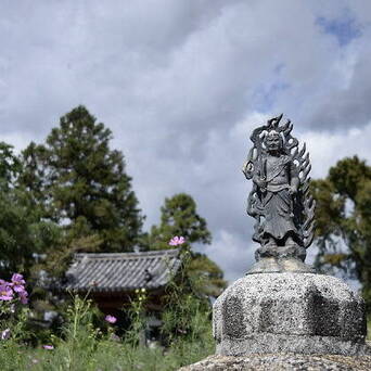 奈良的般若寺以花著名 经常会有许多热爱摄影的人士前去参观 秋天是大波 凤凰网