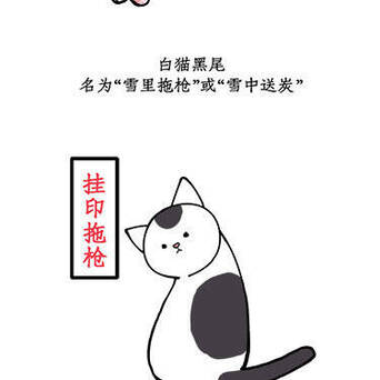 不同品种不同花色的猫在古代居然还有不同的名字 你知道你家猫在古代叫什 凤凰网