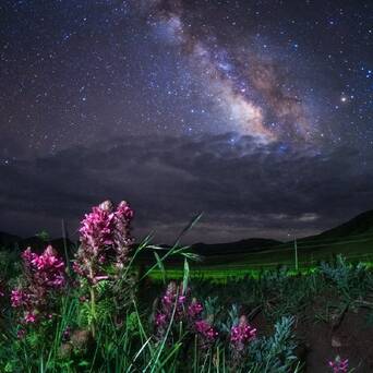 花夜舞 星影动 凤凰网