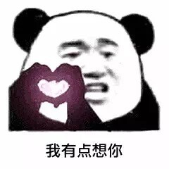 熊猫爱你表情包:向大哥示爱!