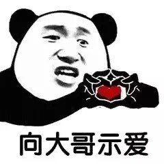 熊猫爱你表情包:向大哥示爱!