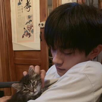 易烊千玺穿短袖撸猫,抱怀中抚摸表情宠溺_凤凰网娱乐_凤凰网