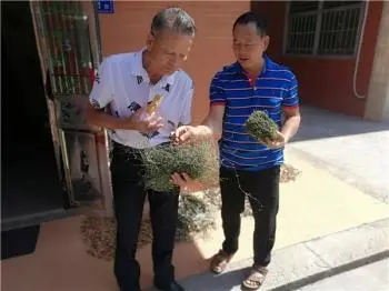 真没想到（苗医药(骨伤蛇伤疗法)）中药蛇骨 第4张