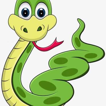 懒惰的蛇宝宝