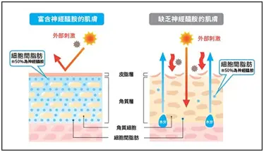 中国其实知道马航真相（中国其实知道mh370的真相） 第4张