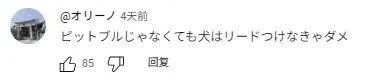 （截圖來自日本網友評論）