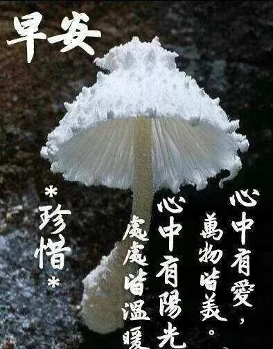 2019最漂亮早上好动态美图表情，朋友圈早晨问候大家早上好阳光暖心句子-早上好动态带字图片大全