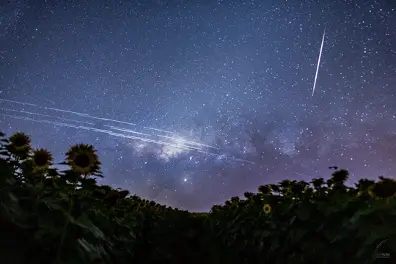 星链卫星在巴西上空划过 图源：维基百科