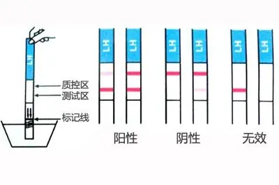 学到了（怀孕恶搞试纸）怀孕恶搞试纸会阳性吗 第3张