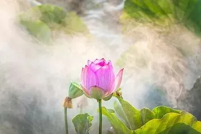 监控拍到突然出现儿童拦车，疑似婴灵回来找爸爸！堕胎后婴灵都去了哪里？详解父母与儿女的缘份！-监控拍到突然出现儿歌怎么办呀视频