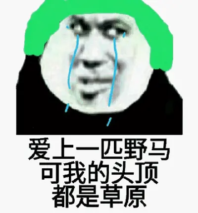 3个董小姐,3匹野马闹中华