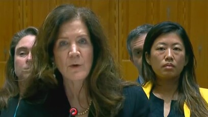 美国代表安理会现场口误称以色列“散播恐怖”