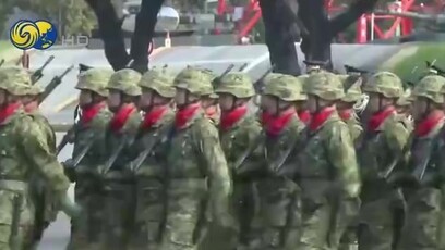 集中战备资源应对周边局势，日本防卫省宣布取消自卫队观舰式与阅兵式