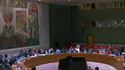 美国否决安理会要求加沙停火决议