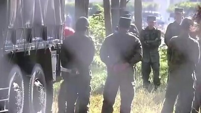 日本熊害恶化，自卫队赴秋田猎熊