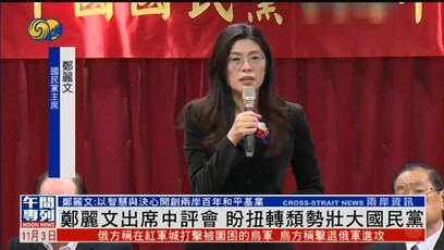 郑丽文出席中评会，盼扭转颓势壮大国民党