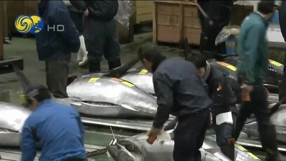 日媒：中国已向日本通报暂停进口日本水产品