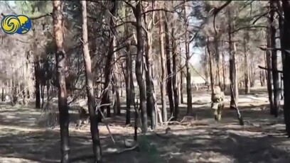 俄称已控制沃夫昌斯克市并完成多地清剿