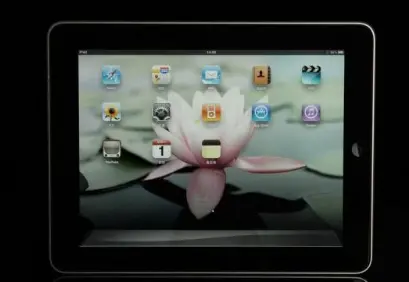 ipad充不进电怎么解决-ipad充不进电但是有充电标志