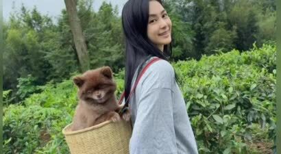 44岁阿娇五一假期带爱狗旅行，背着竹篓去采茶，素颜清纯皮肤白嫩
