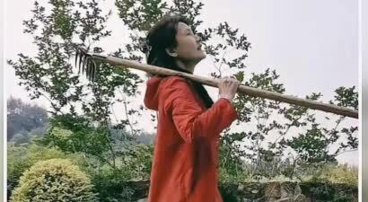何赛飞杭州豪宅后院忙种蒜！63岁穿洞洞鞋干农活，毫无明星架子